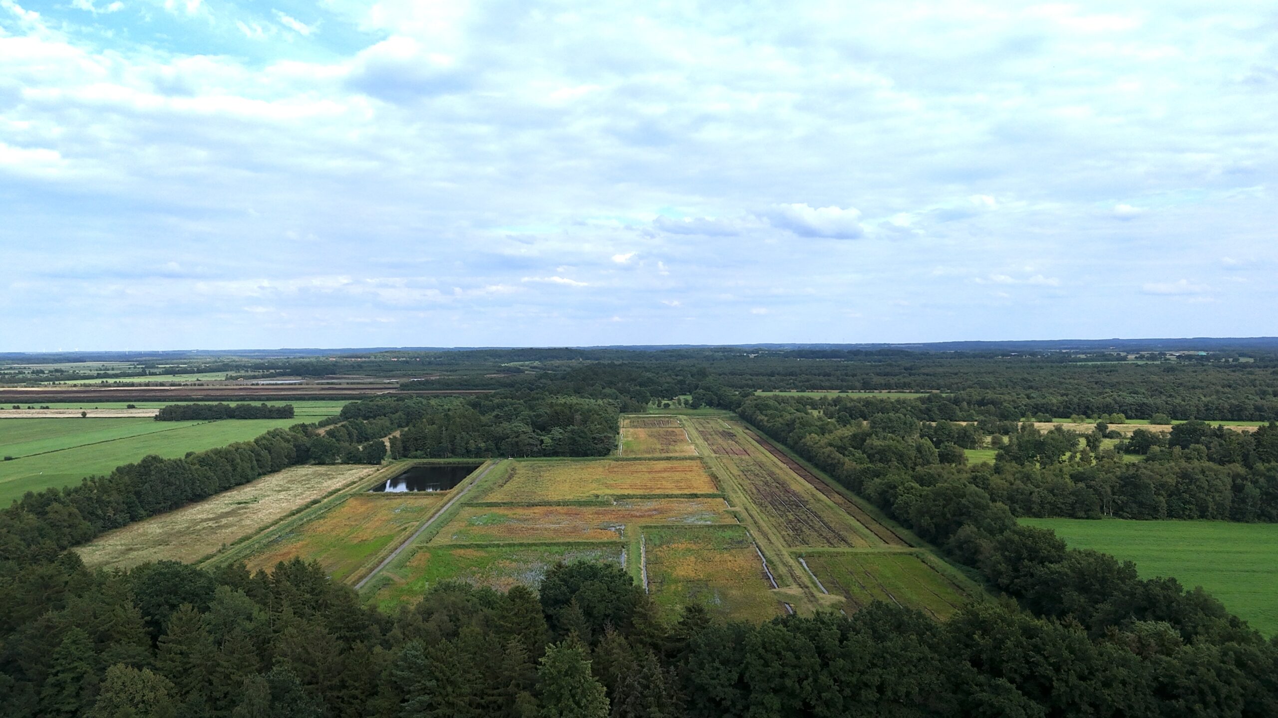 ©ZukunftMoor Fläche nachher August 2025