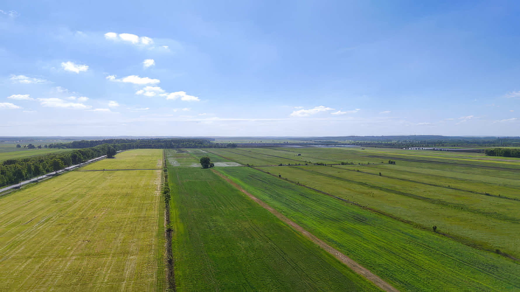 Ausgangszustand Langenhausener Moor